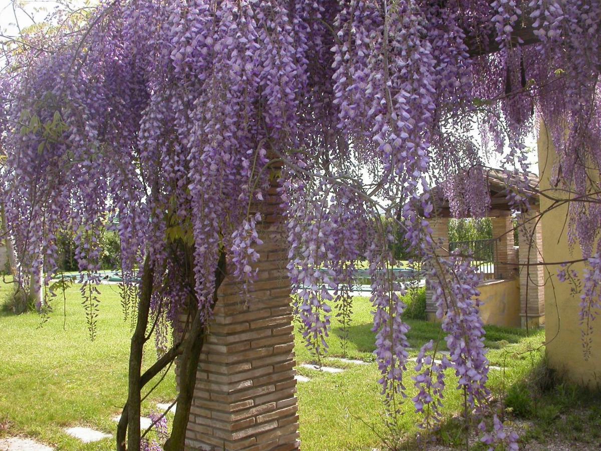 Casavacanze Sant'Eugenia Attigliano Exterior foto
